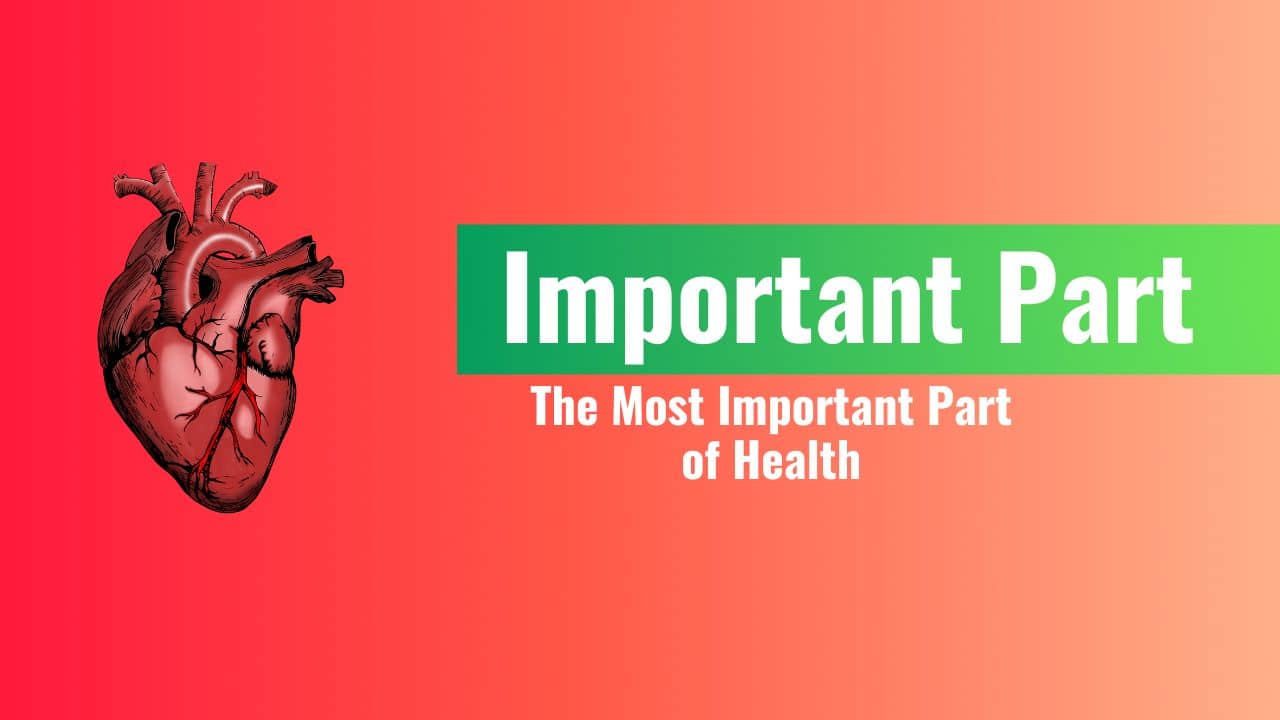 The Most Important Part of Health