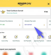 click on the Amazone pay later option